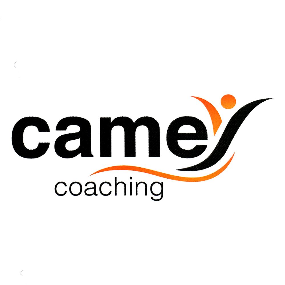 Camey logo